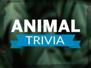 Play Animal Trivia on FOG.COM