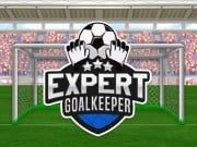 Play Expert Goalkeeper on FOG.COM