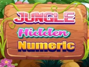 Play Jungle Hidden Numeric On FOG.COM